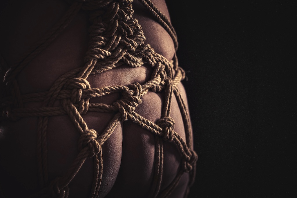 Shibari-sidonta – Dalex Studio